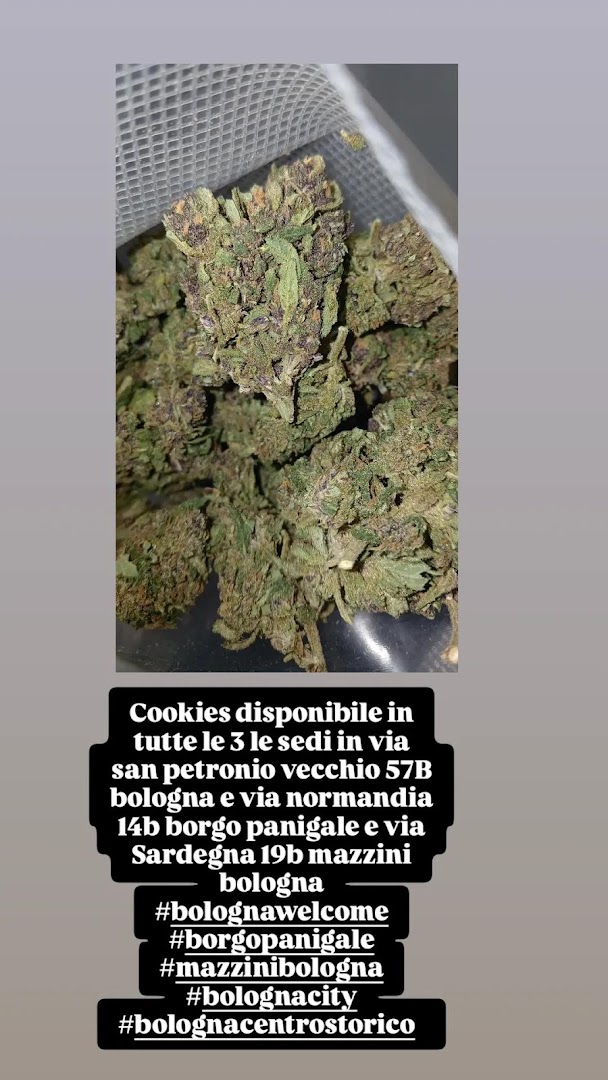 Bobby’s Secrets Hemp shop, Bologna