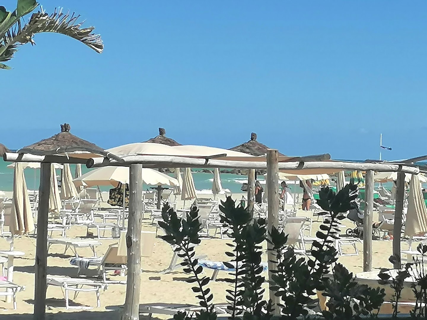 BOLLA MARE