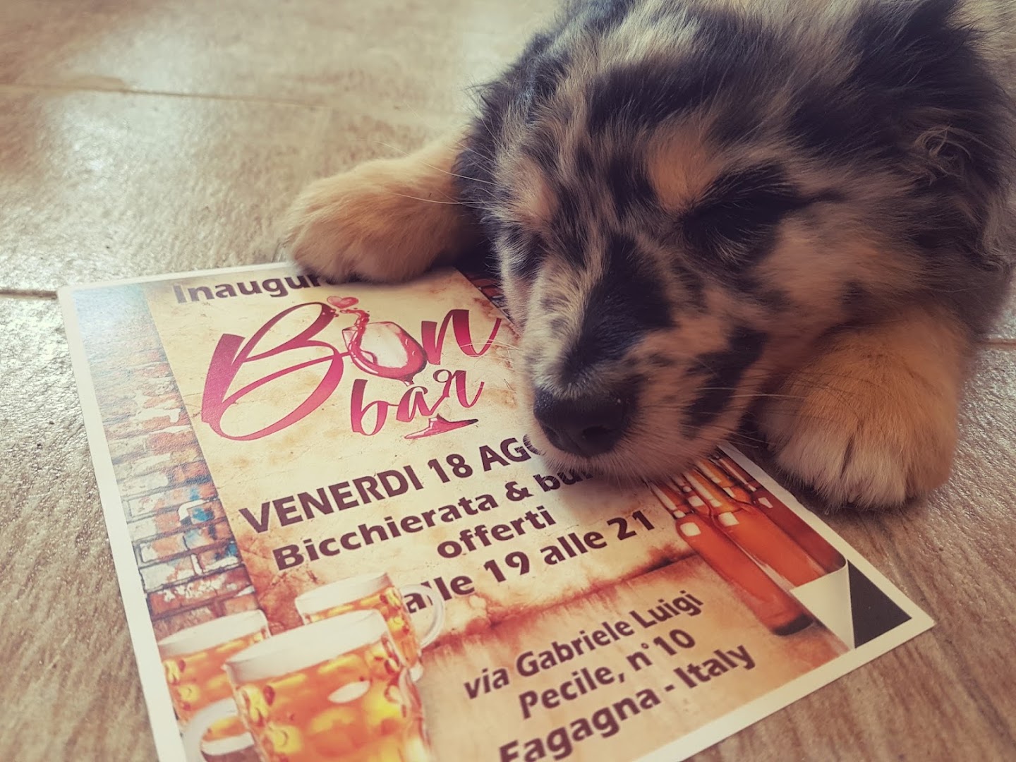 Bon Bar