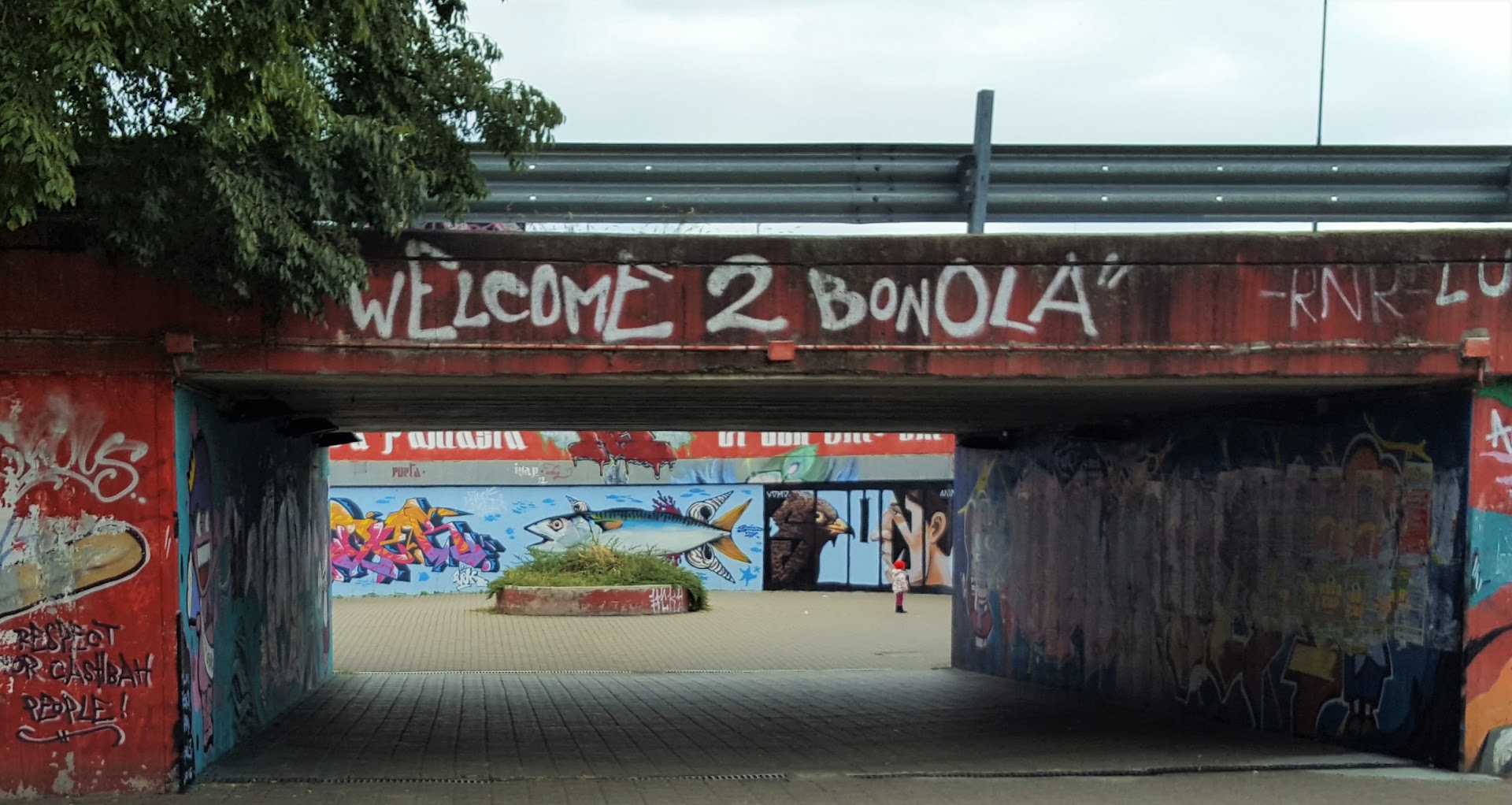 Bonola