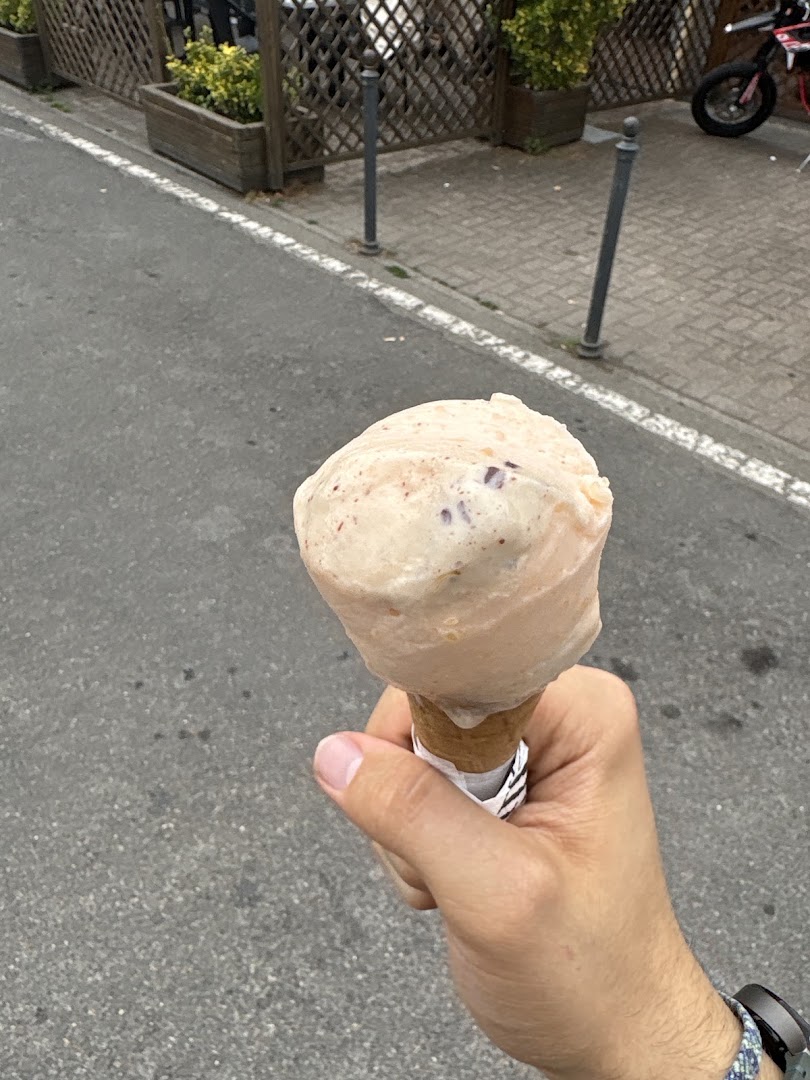 Borelli Lab - Borelli Gelato