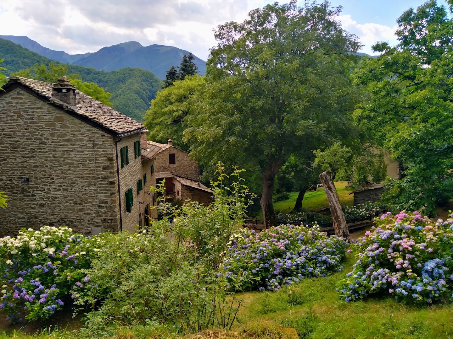 Borgo di Tresana
