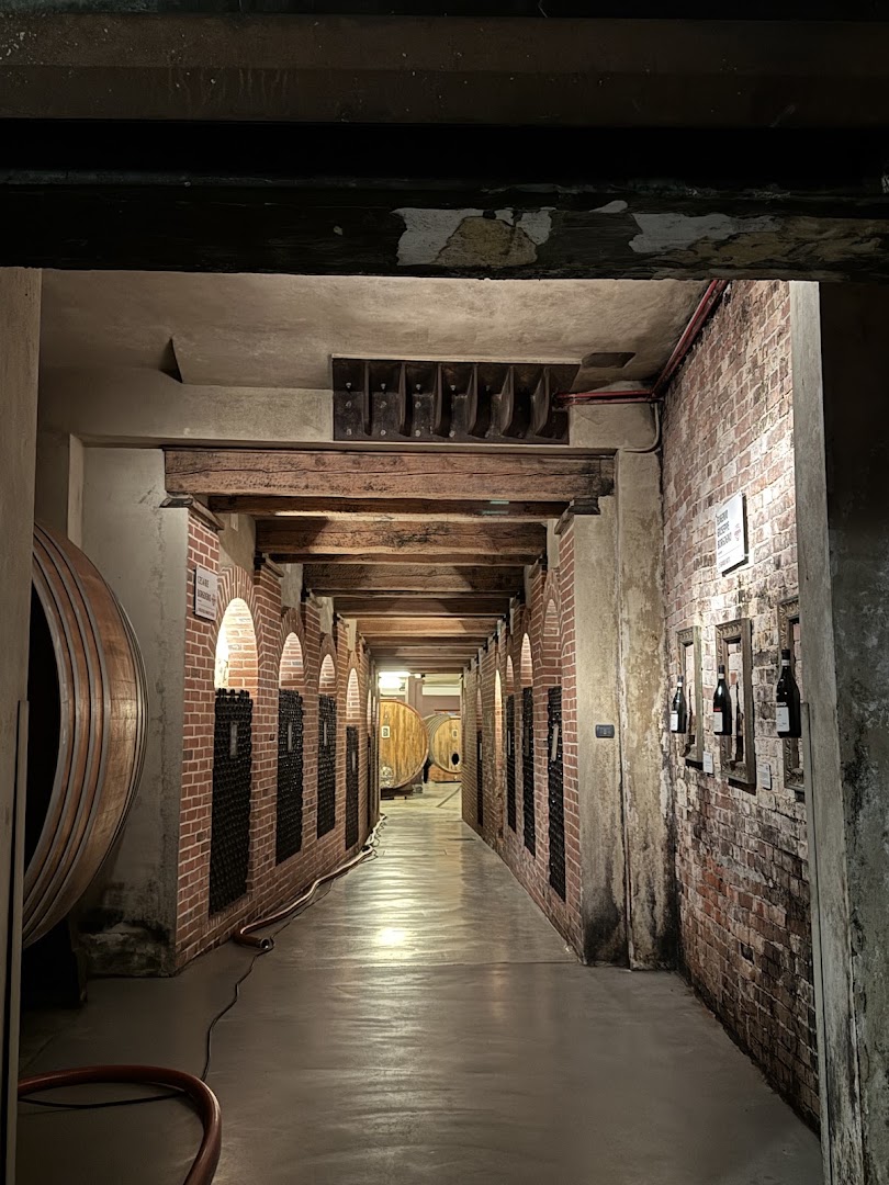 Borgogno