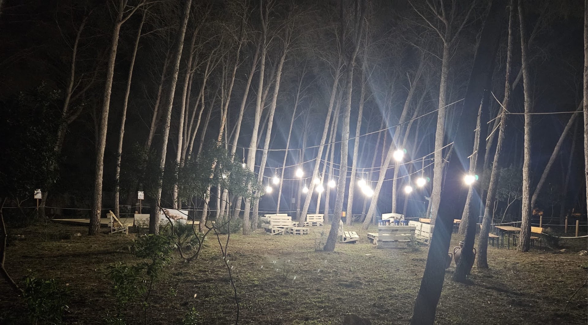 Bosco dei 100 Pini