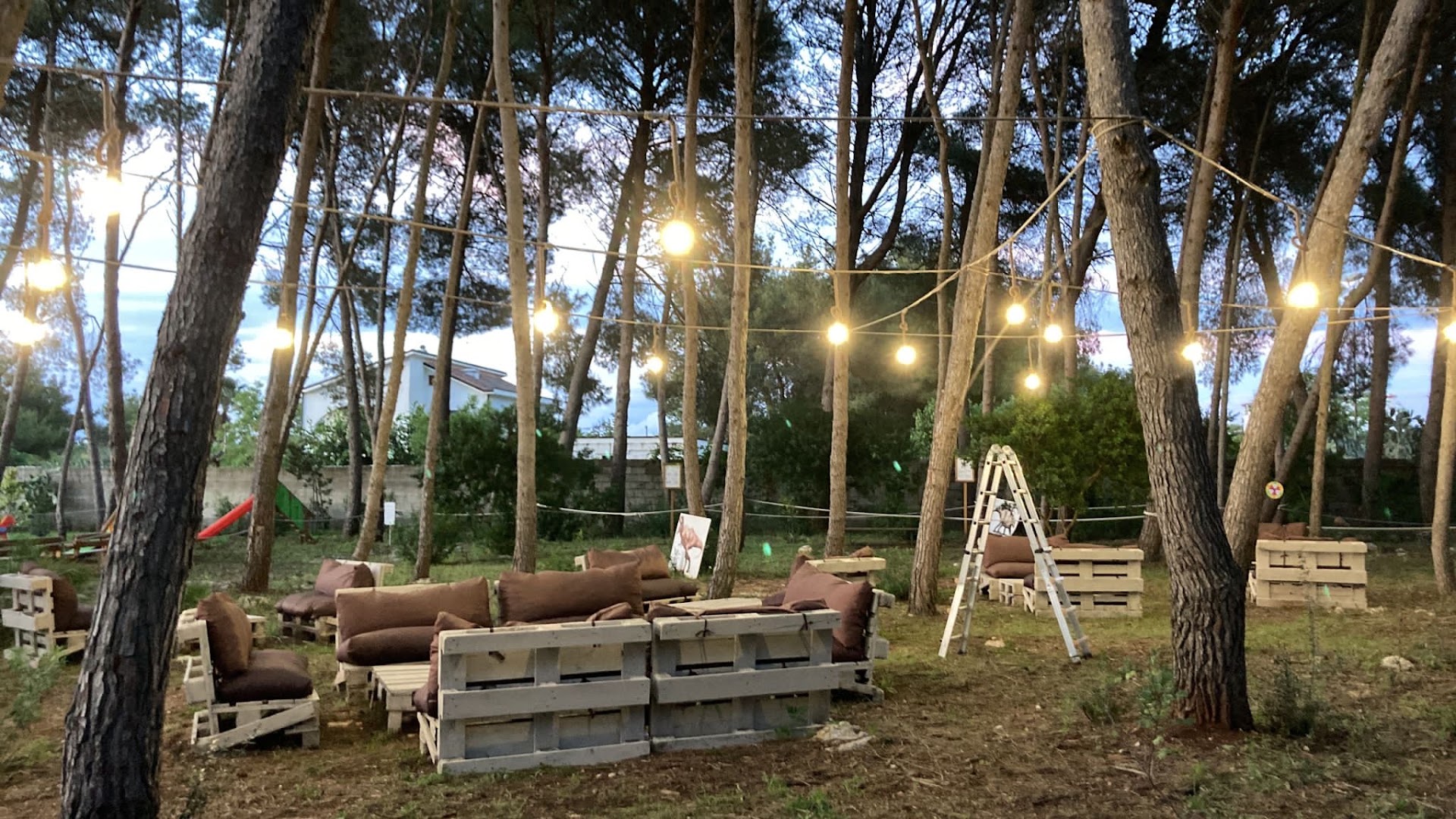 Bosco dei 100 Pini