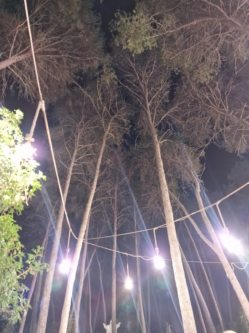 Bosco dei 100 Pini