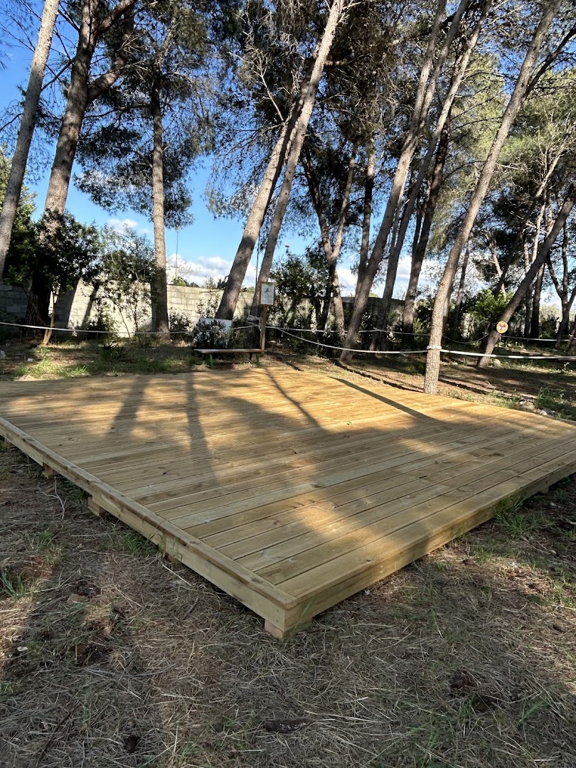 Bosco dei 100 Pini