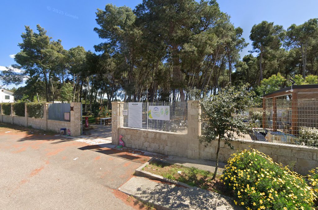Bosco dei 100 Pini