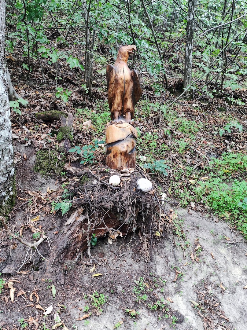 Bosco dei Mazzamurelli