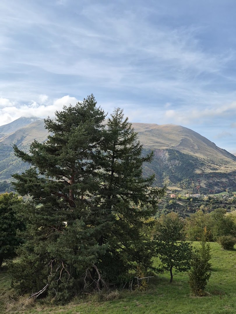 Bosco dei Mazzamurelli
