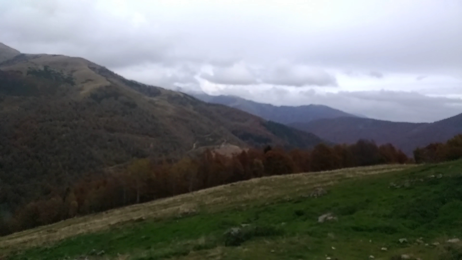 Bosco del Sorriso