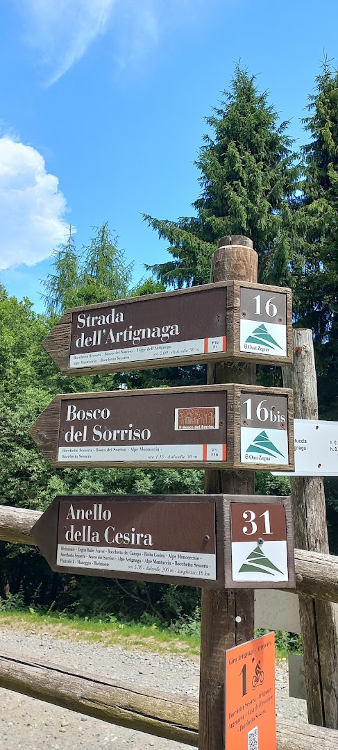Bosco del Sorriso