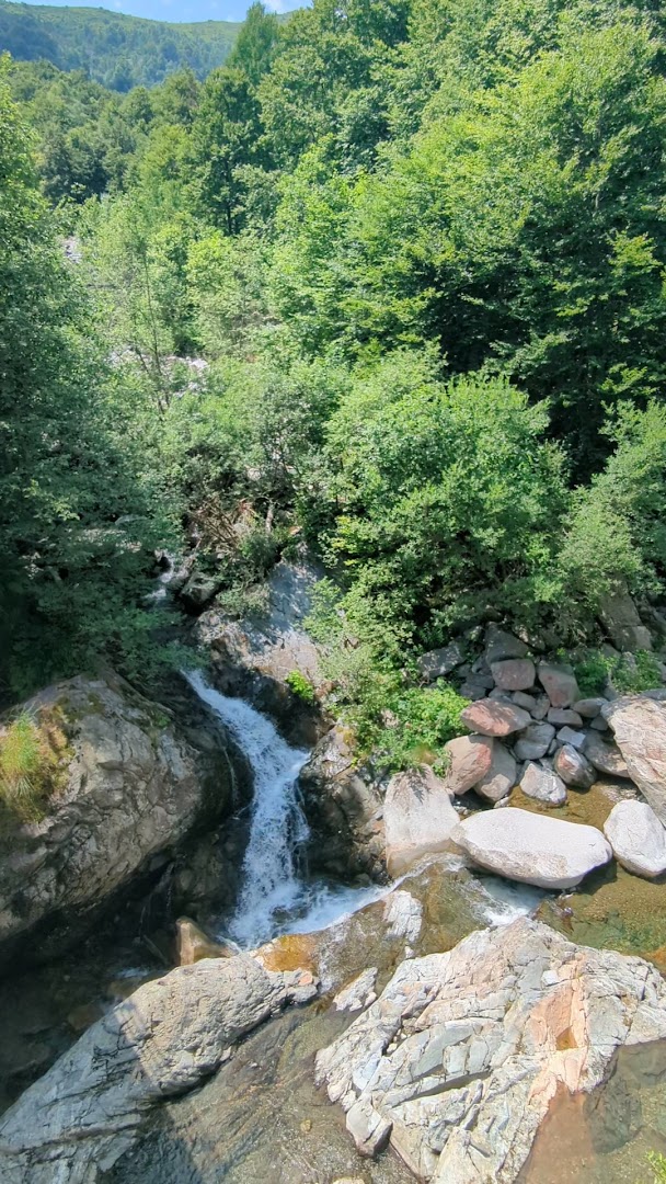 Bosco del Sorriso