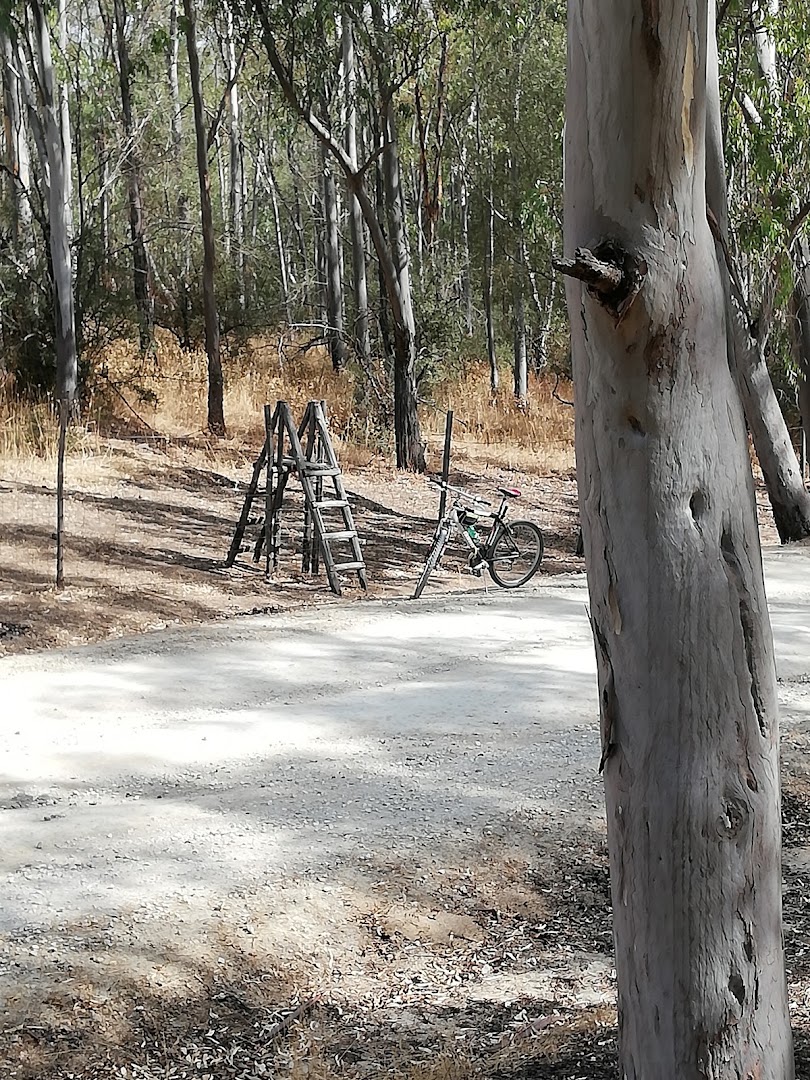 Bosco di Marineo