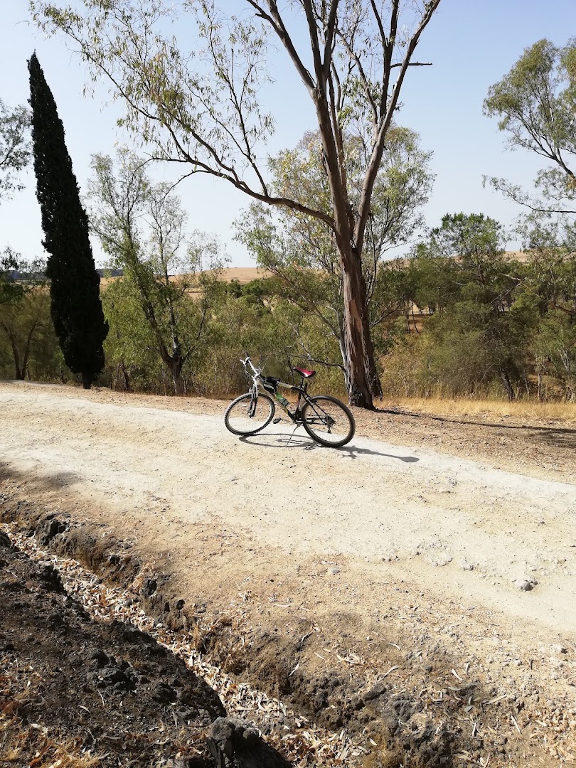 Bosco di Marineo