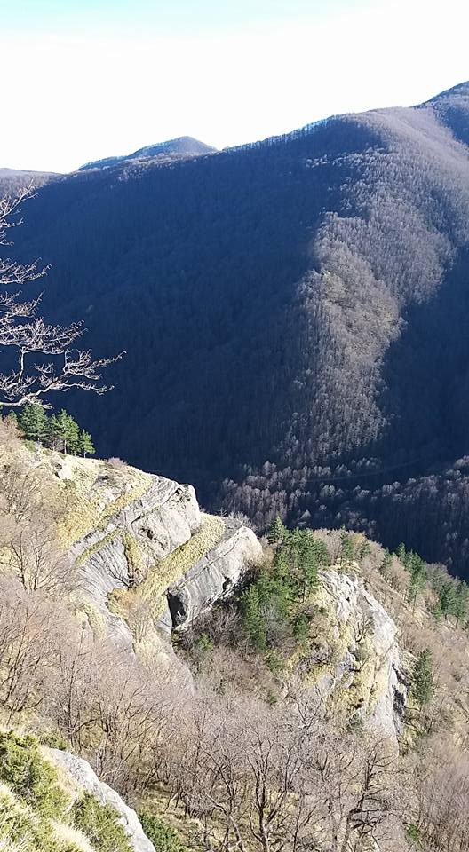 Bosco di San Gerbone, Acquasanta Terme