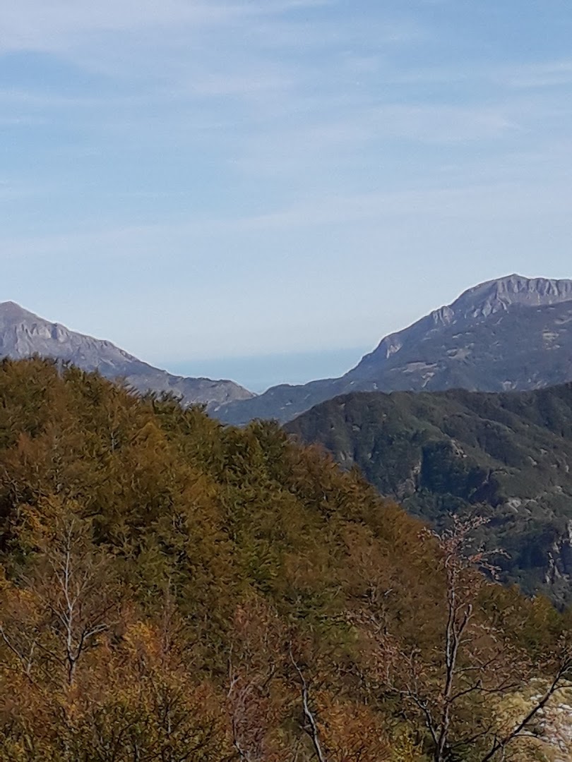 Bosco di San Gerbone
