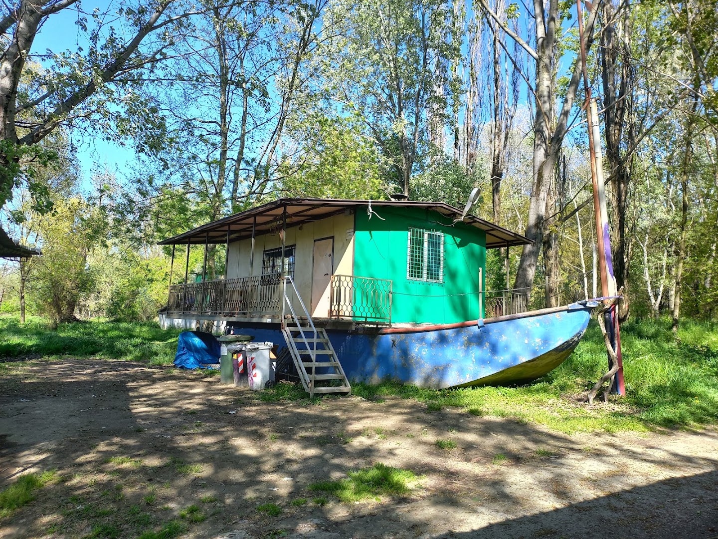 Bosco Freddi