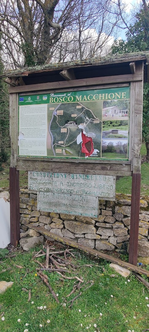 Bosco Macchione