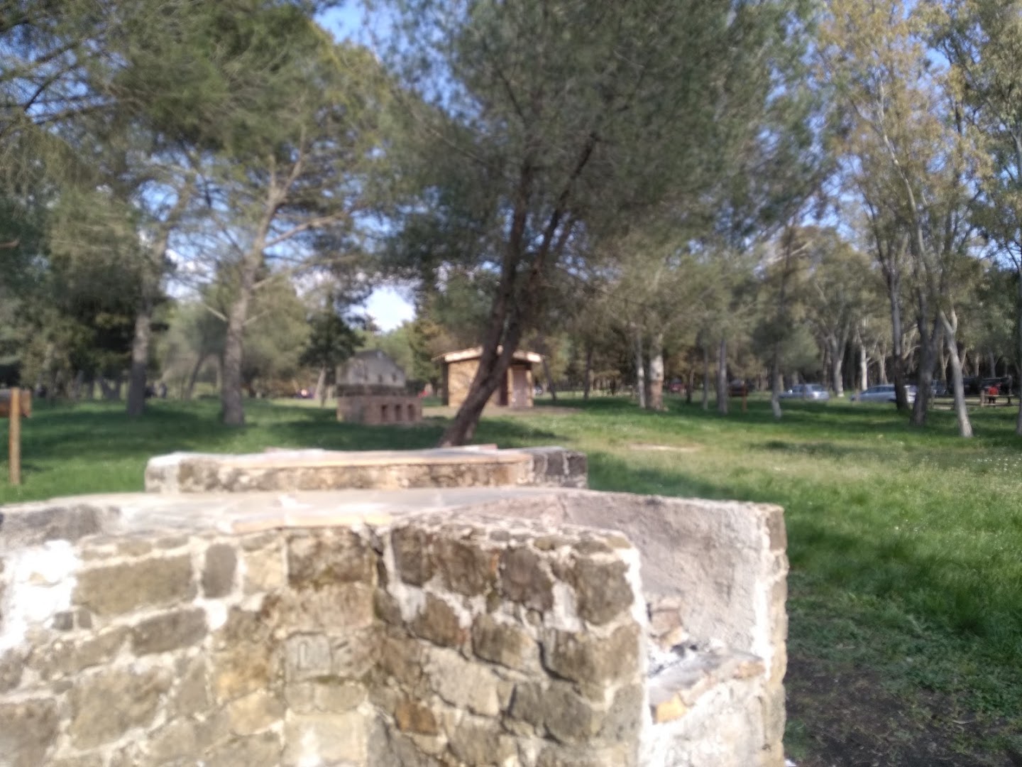Bosco Marineo Area Attrezzata