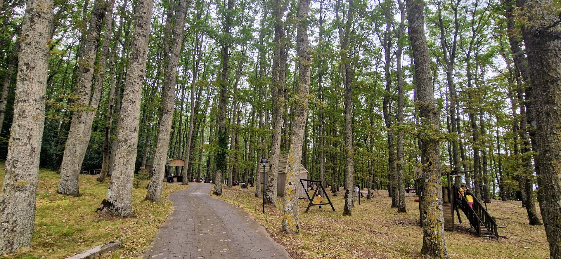 Bosco Pianelle