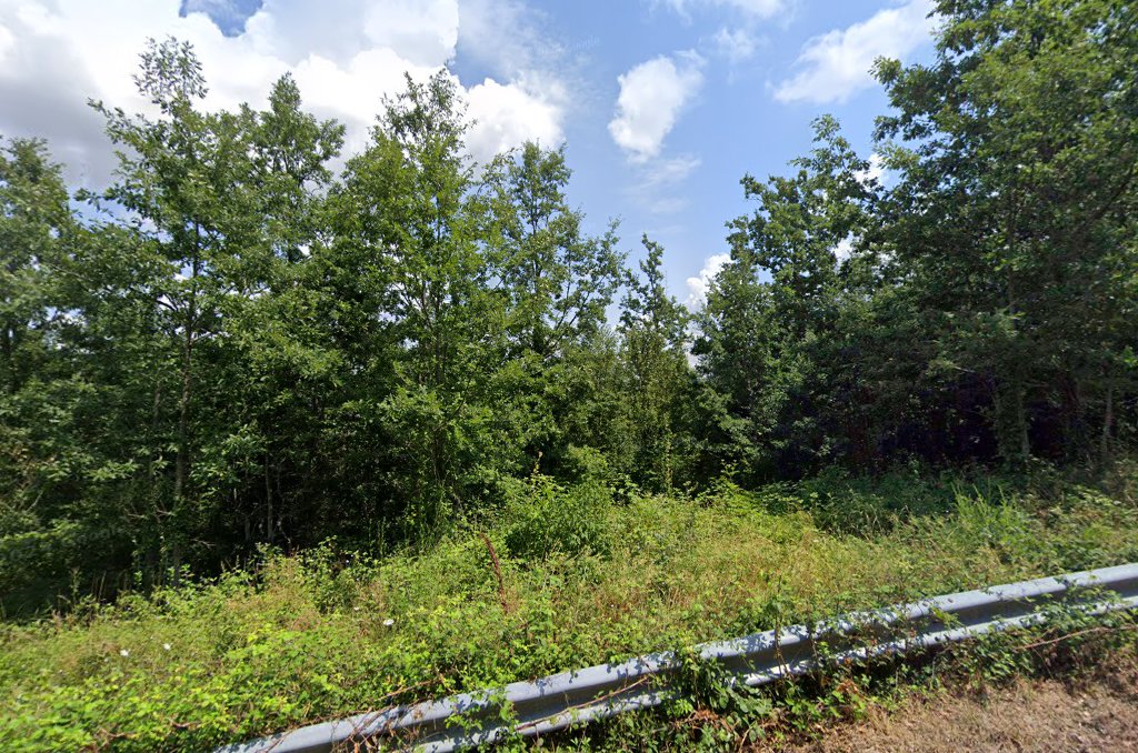 Bosco Pianelle