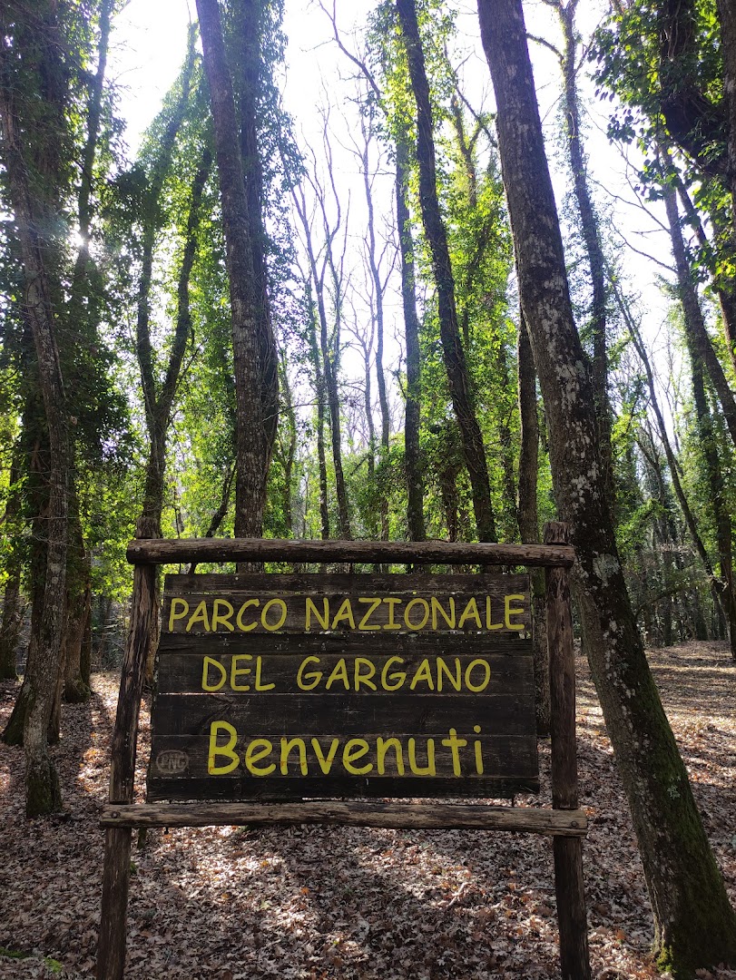 Bosco Quarto