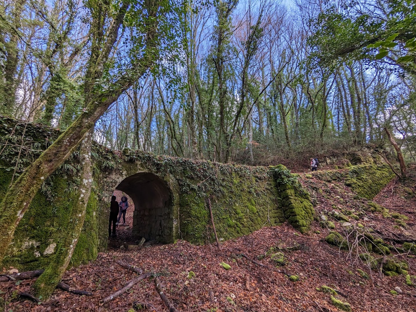 Bosco Quarto