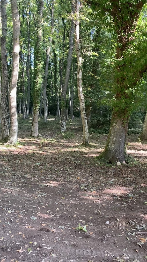 Bosco Quarto