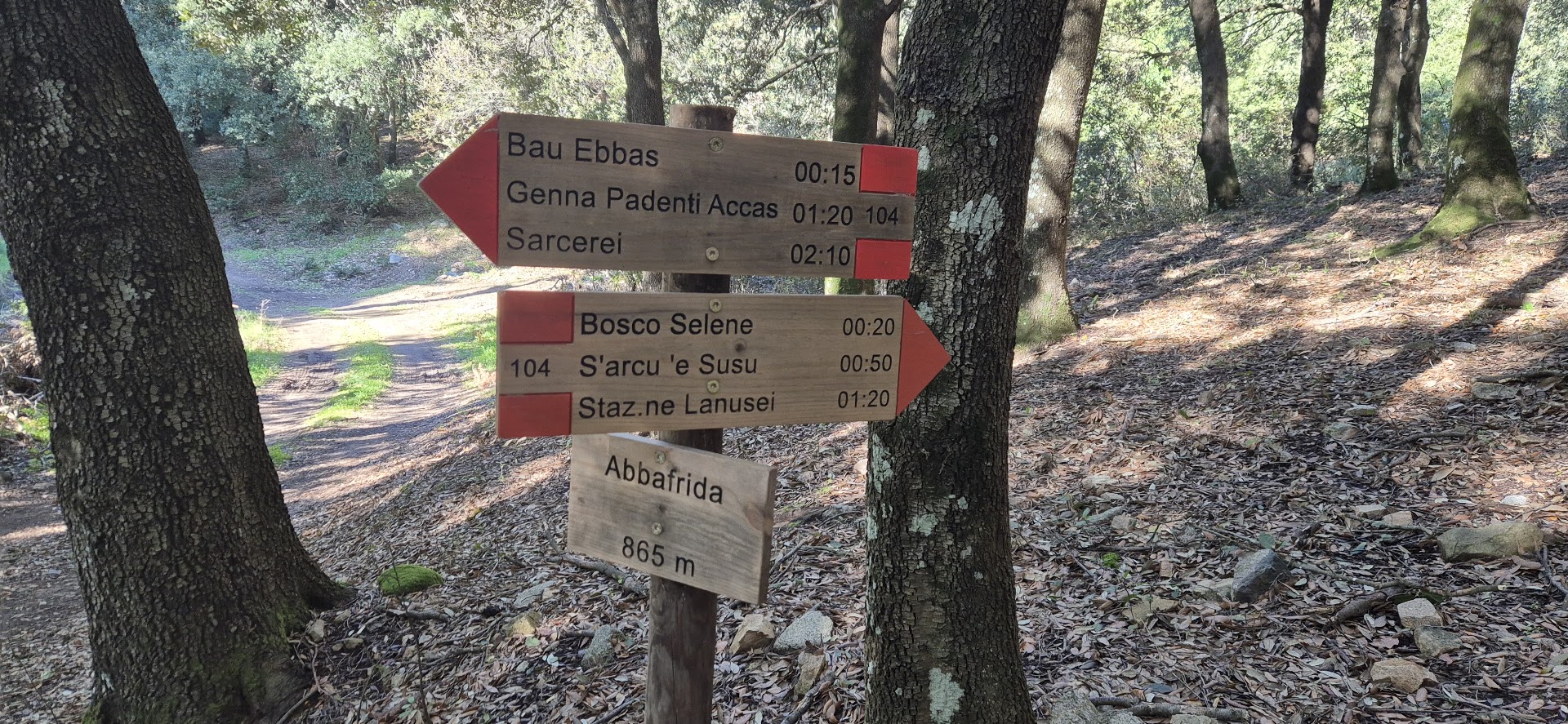 Bosco Seleni, Lanusei