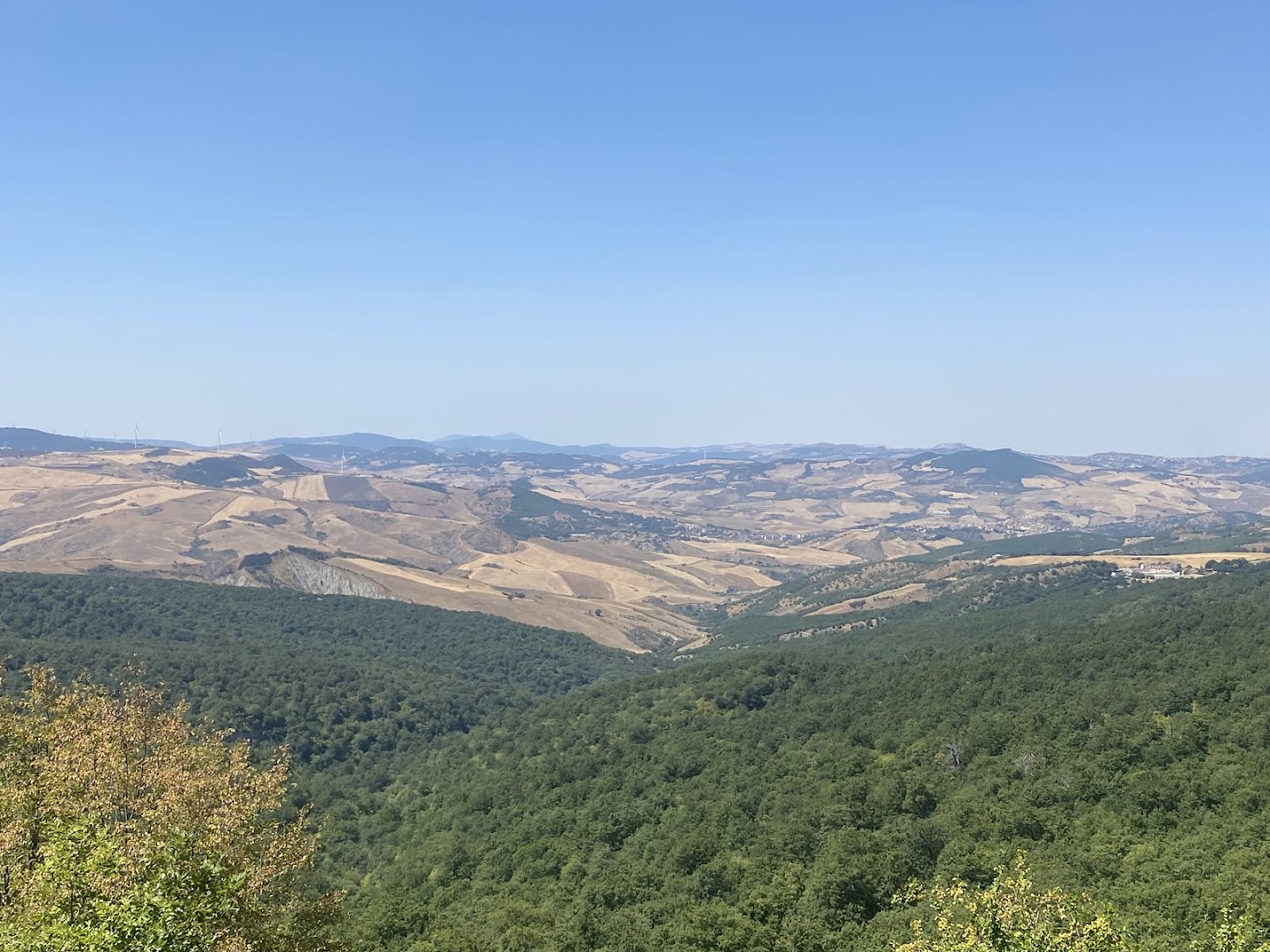 Bosco Tre Cancelli, Tricarico (MT)