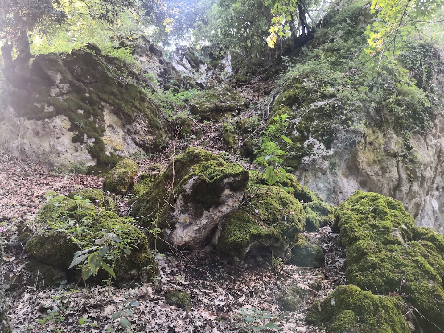 Bosco Tre Cancelli, Tricarico (MT)