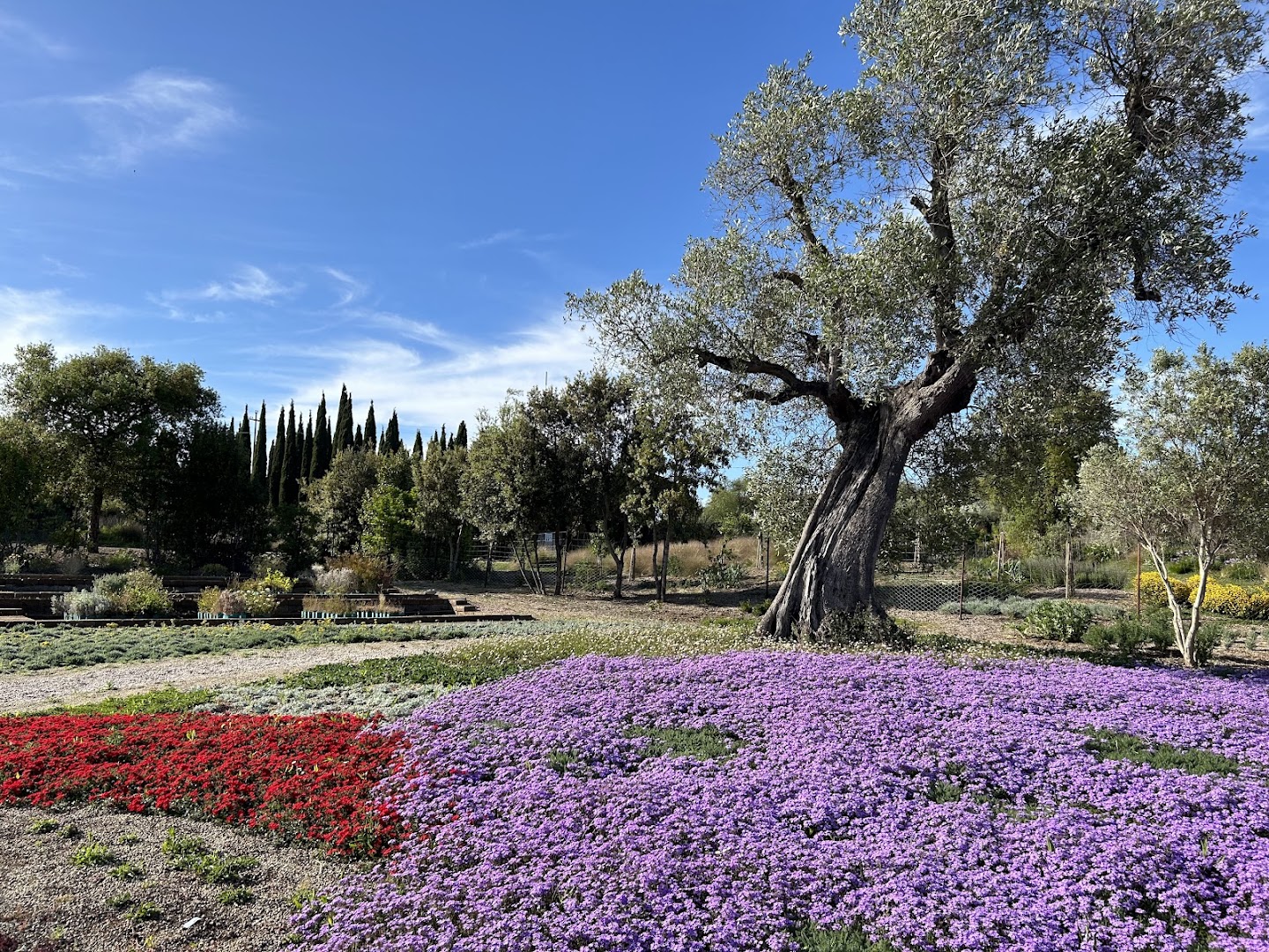 BotanicalDryGarden, Orbetello