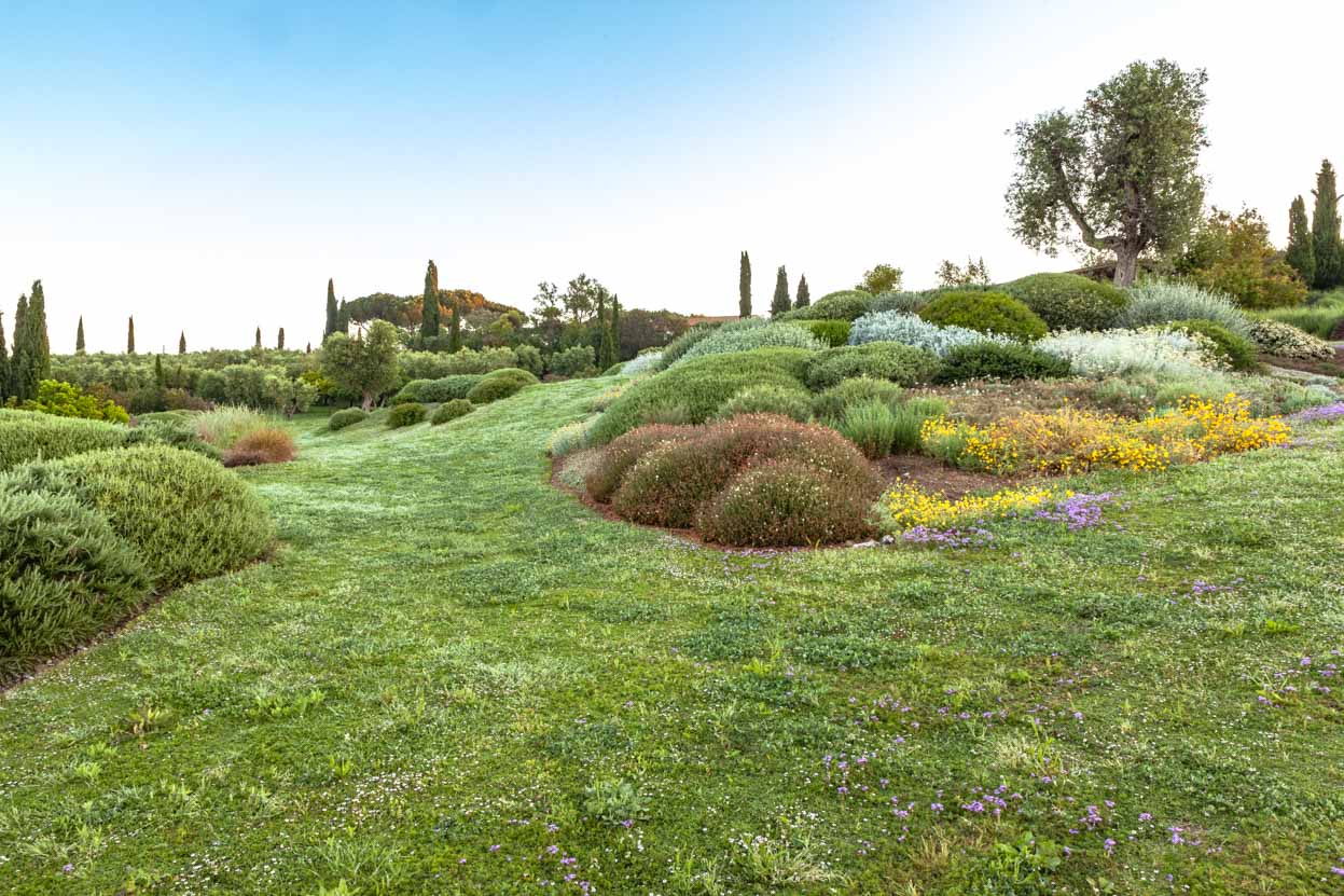 BotanicalDryGarden
