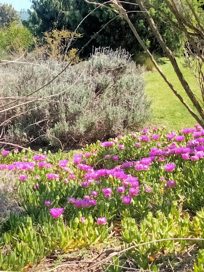 BotanicalDryGarden