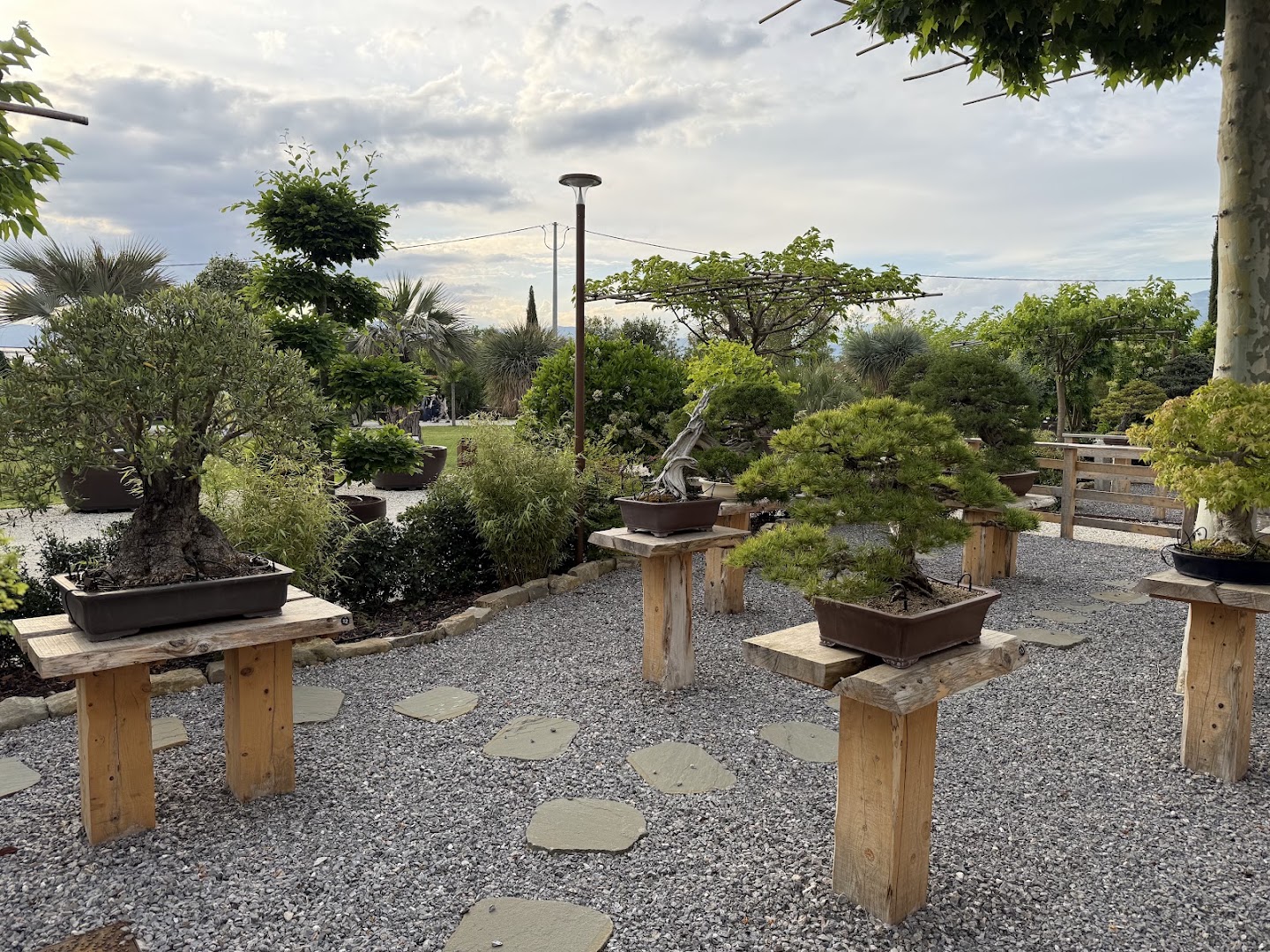 Bottega Savigni - Naturart Village, Pistoia