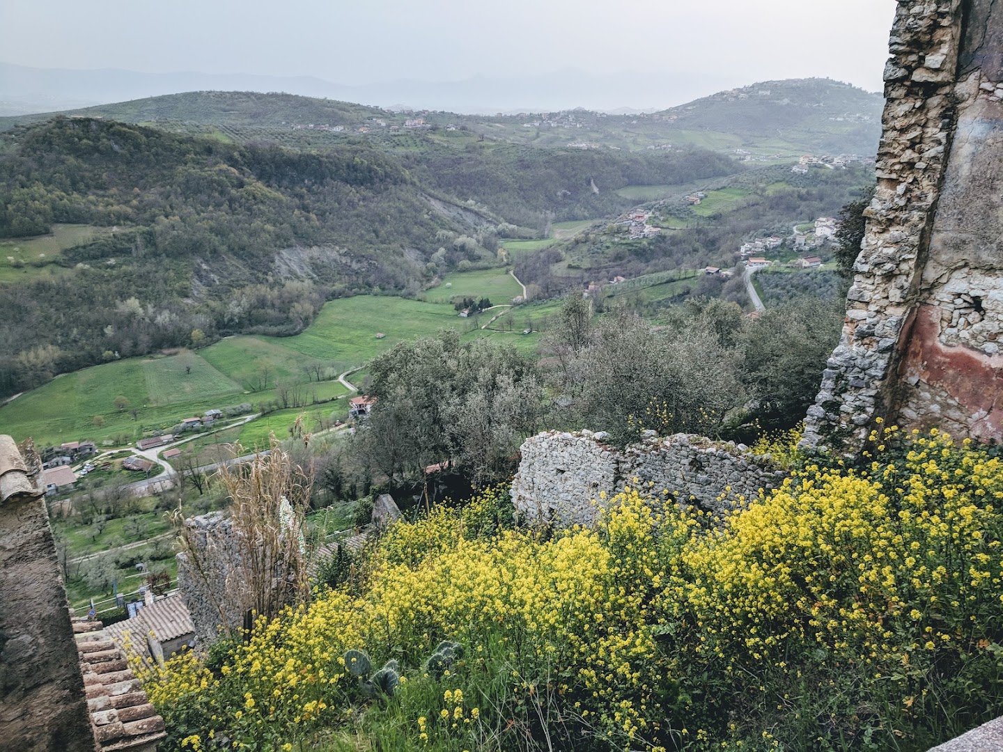 Bottoni Romeo