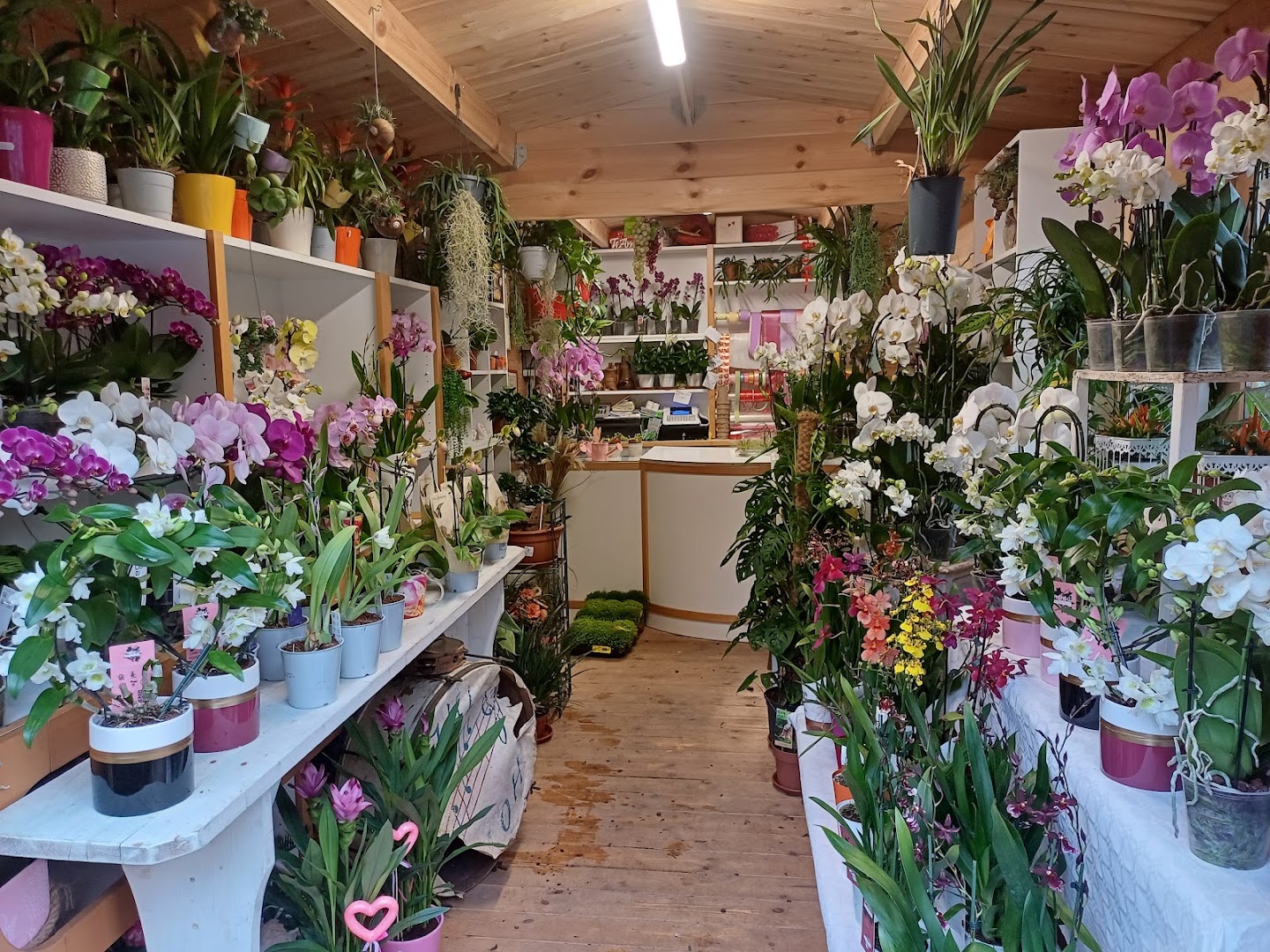 Boutique del Fiore