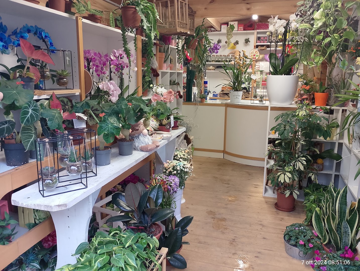 Boutique del Fiore