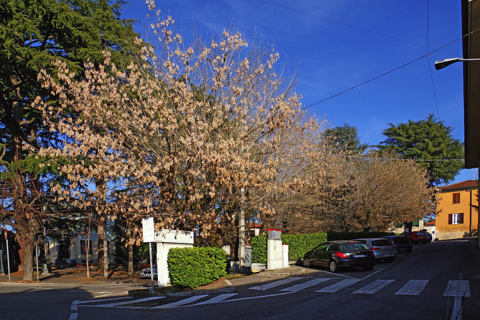 Bregnano (co), Bregnano