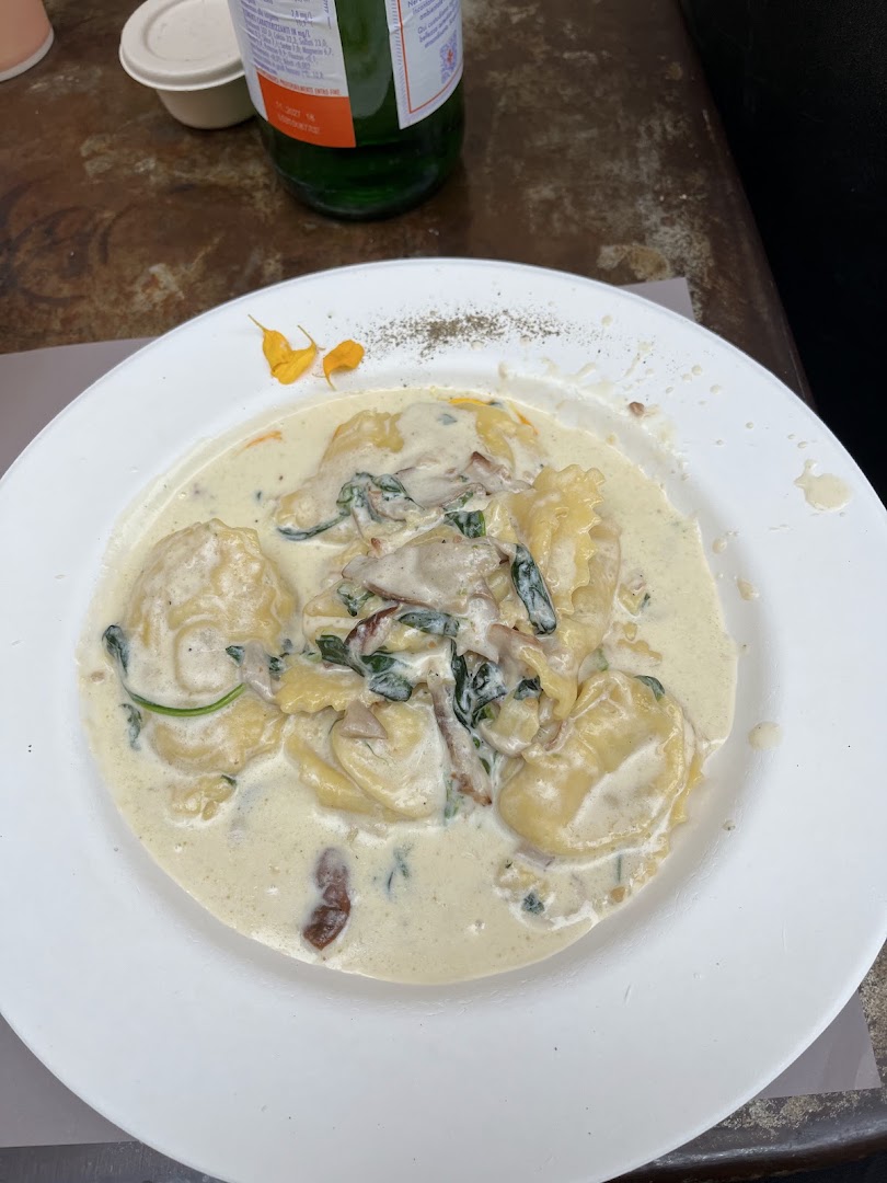 Brodino, Cesena