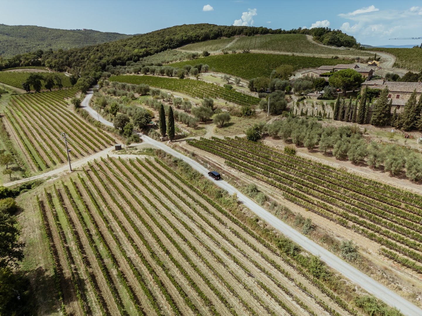 Brunello Di Montalcino Wine Tours & Wine Tastings, Monteroni d'Arbia