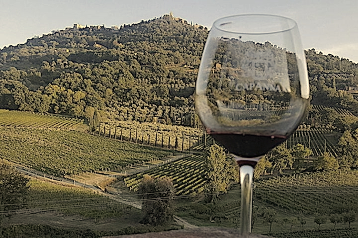 Brunello Di Montalcino Wine Tours & Wine Tastings