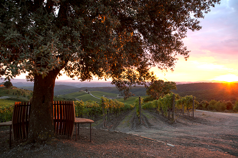 Brunello Di Montalcino Wine Tours & Wine Tastings
