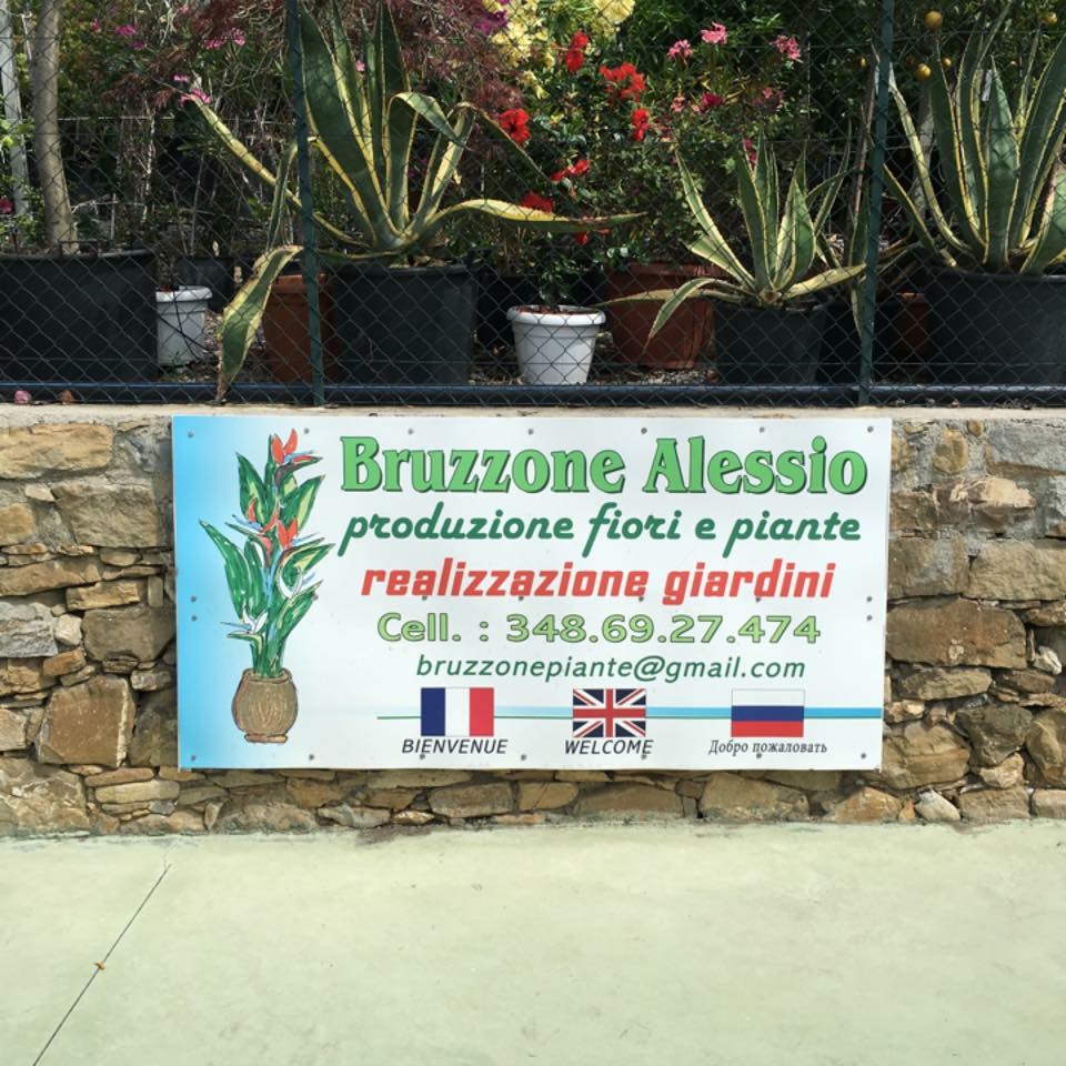 Bruzzone Alessio Vivaio Giardini, Sanremo