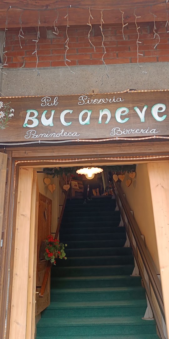 Bucaneve