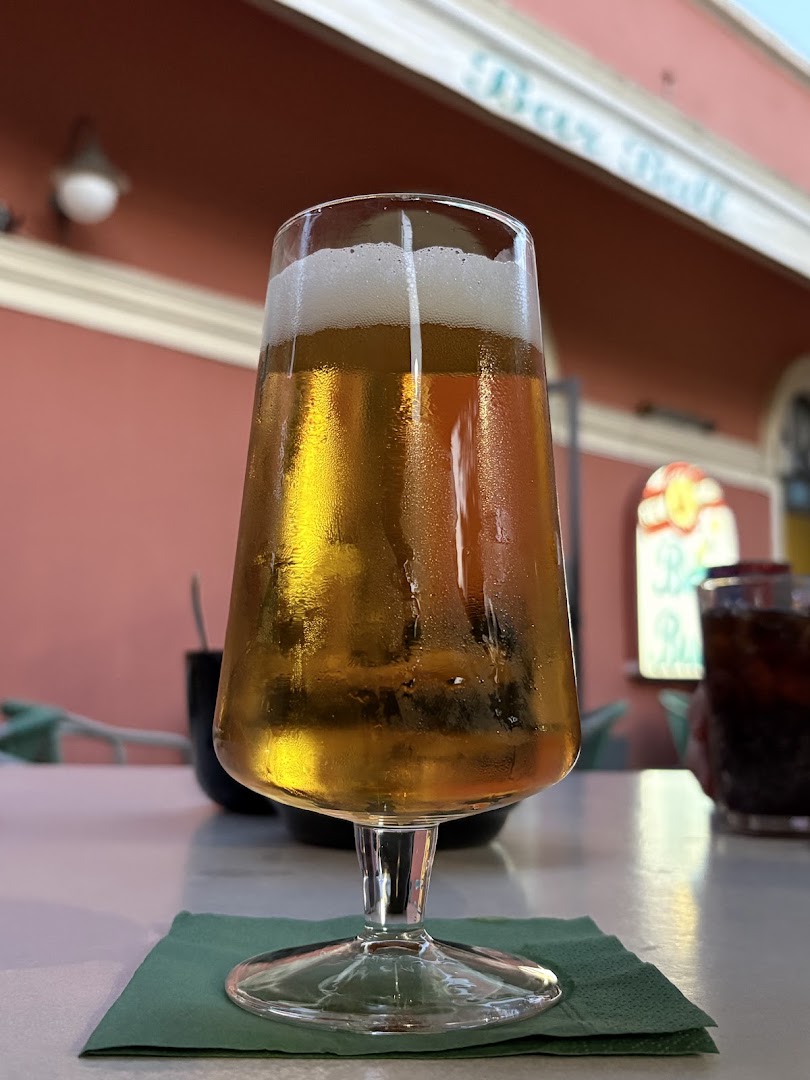 Bull Bar