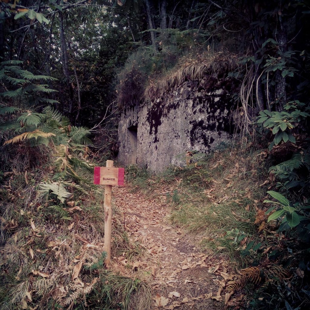 Bunker Linea Gotica Calamecca - Macchia Antonini