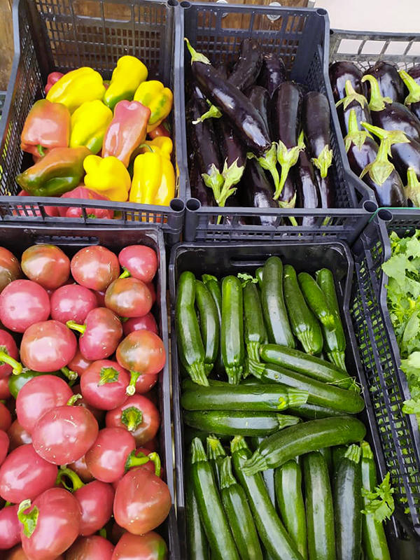 Buono alimentari ed elettrodomestici, Chiusano di San Domenico