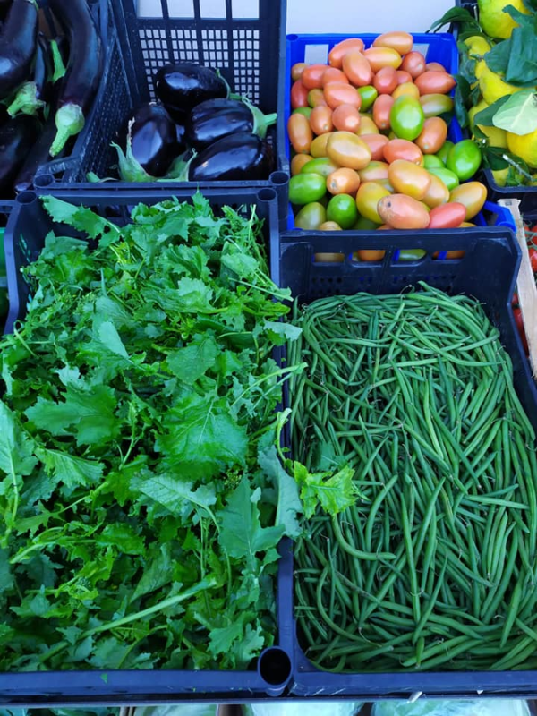 Buono alimentari ed elettrodomestici